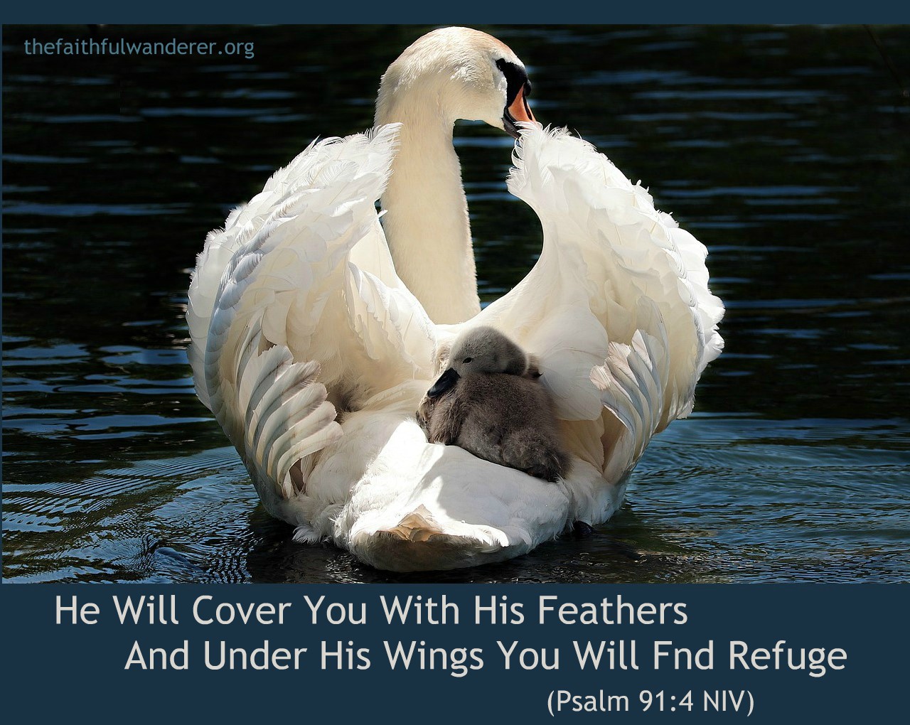 Safe Beneath His Wings » The Faithful Wanderer