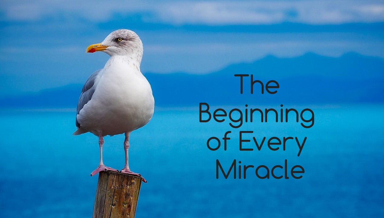 Before Every Miracle