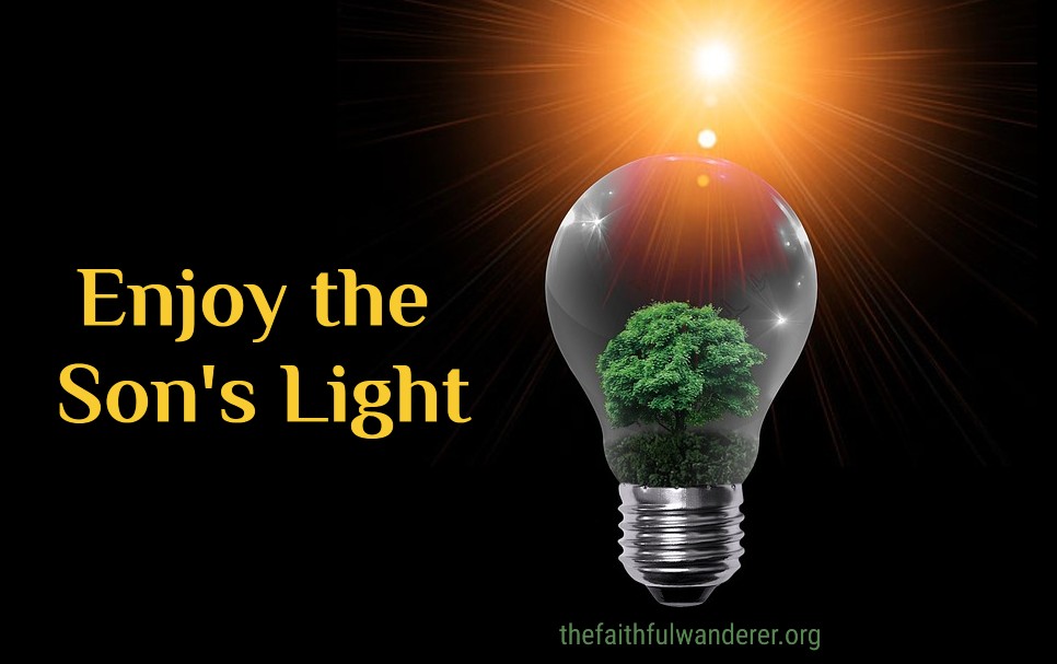 Enjoy the Son’s Light