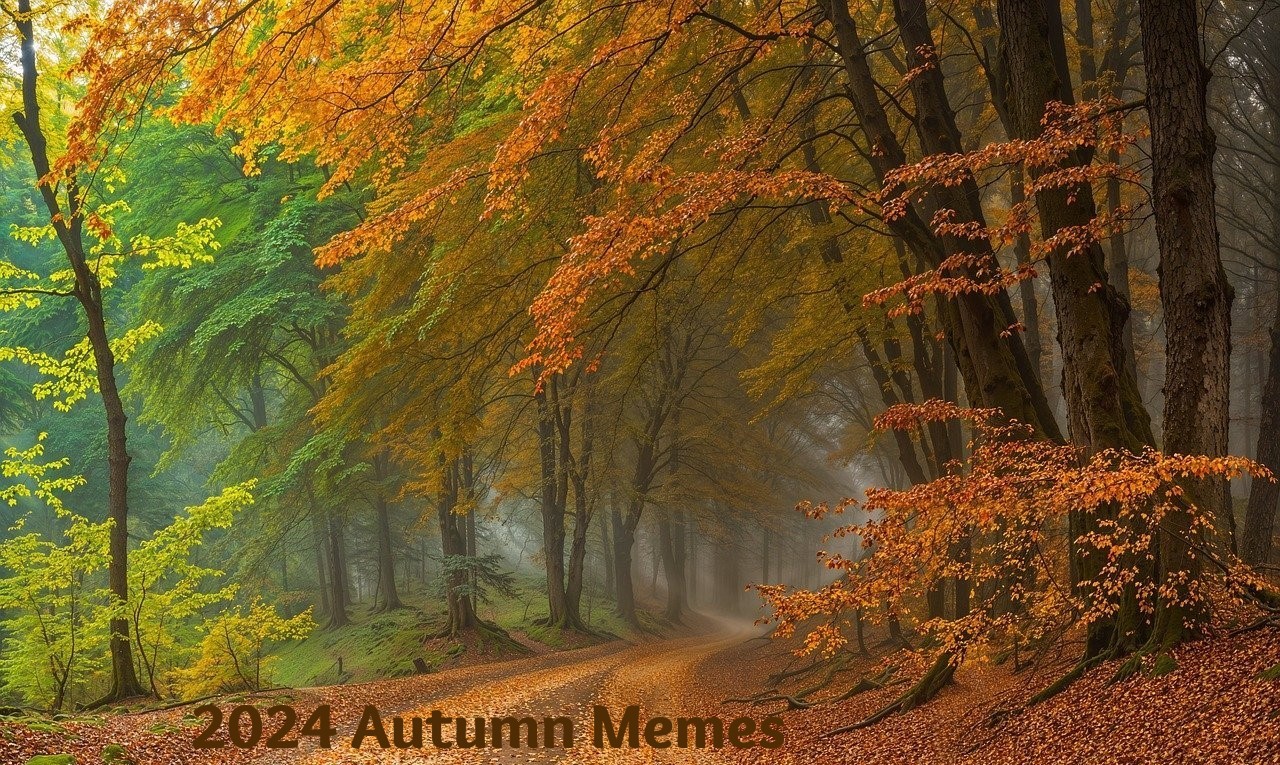 2024 Autumn Memes