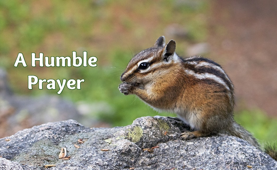 A Humble Prayer